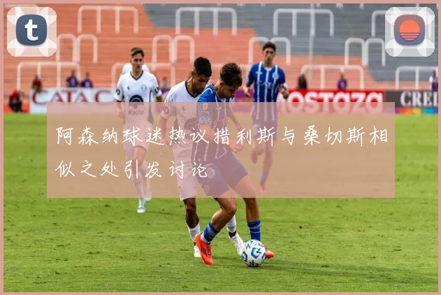 阿森纳球迷热议措利斯与桑切斯相似之处引发讨论